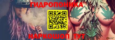 гидра Усть-Илимск