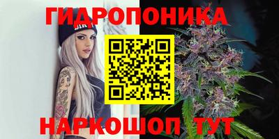 молекула духа Уссурийск