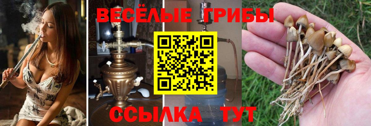 Галлюциногенные грибы прущие грибы Михайловск